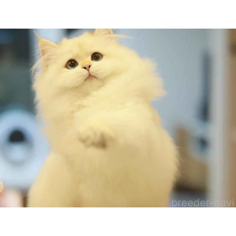 ちゃん1枚目