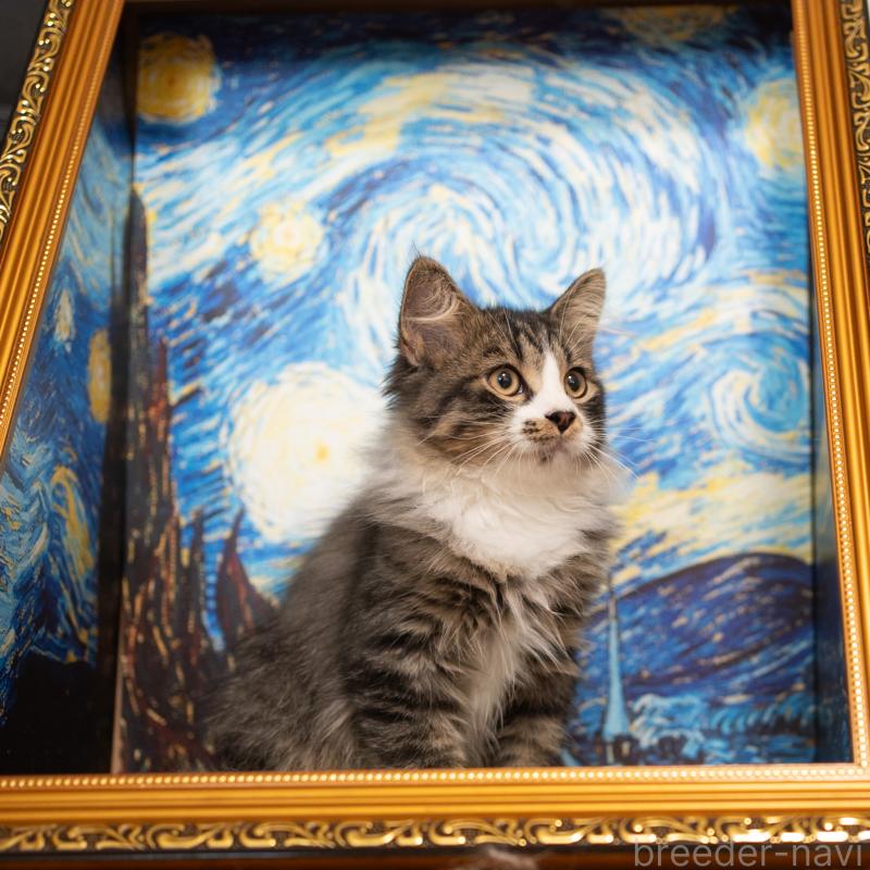 成約済の大阪府のサイベリアン-129558の5枚目