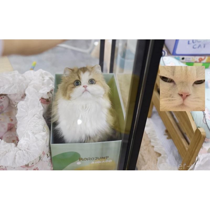 ちゃん1枚目