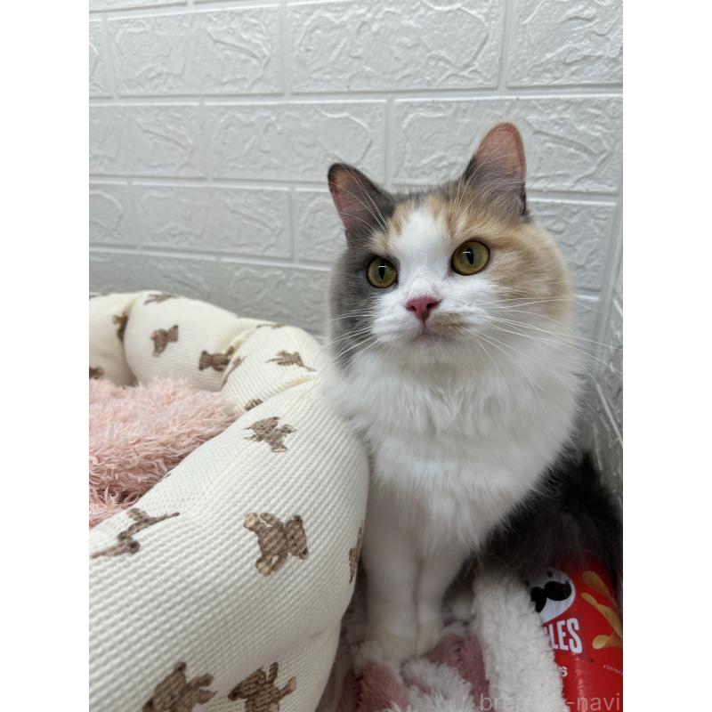 キャリーちゃん1枚目