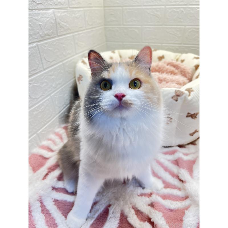 キャリーちゃん1枚目