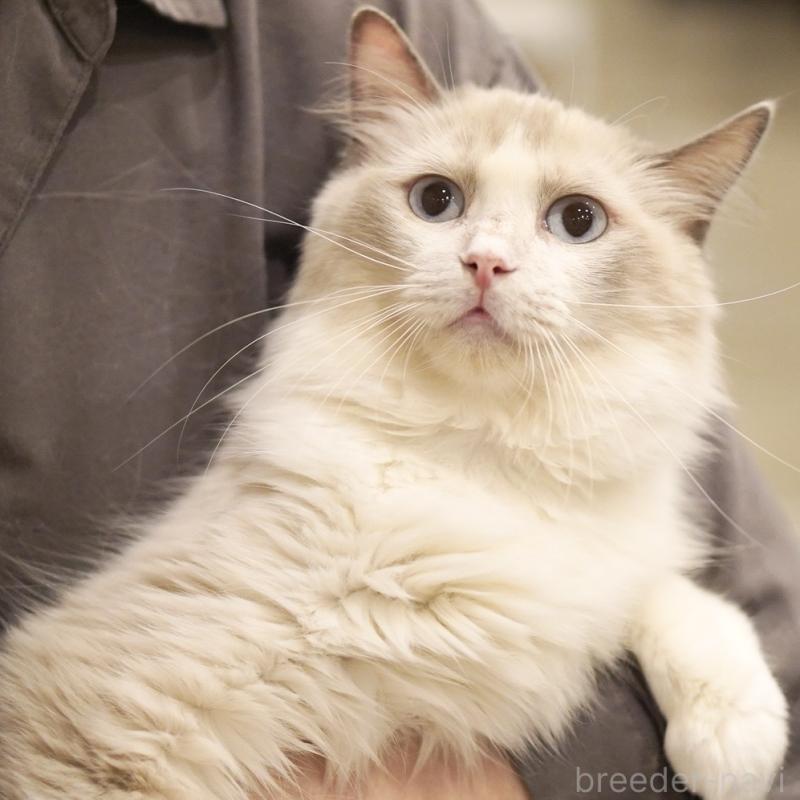 わたちゃん1枚目