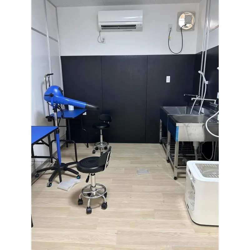 販売中の茨城県のミヌエット-130617の12枚目