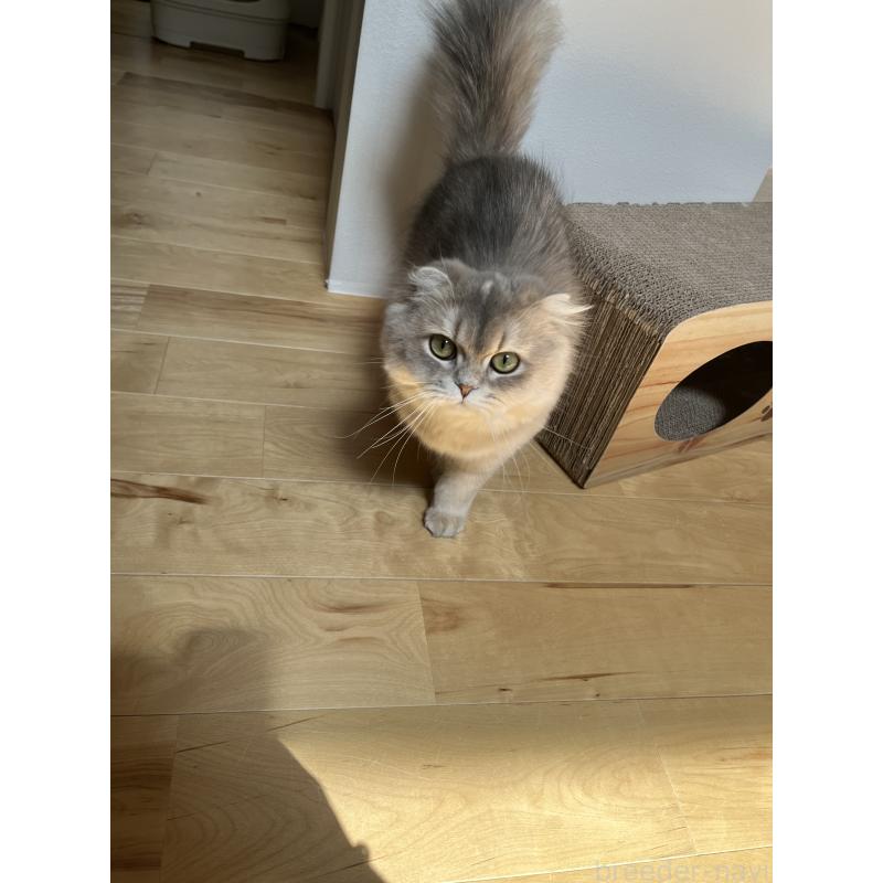 うるちゃん1枚目