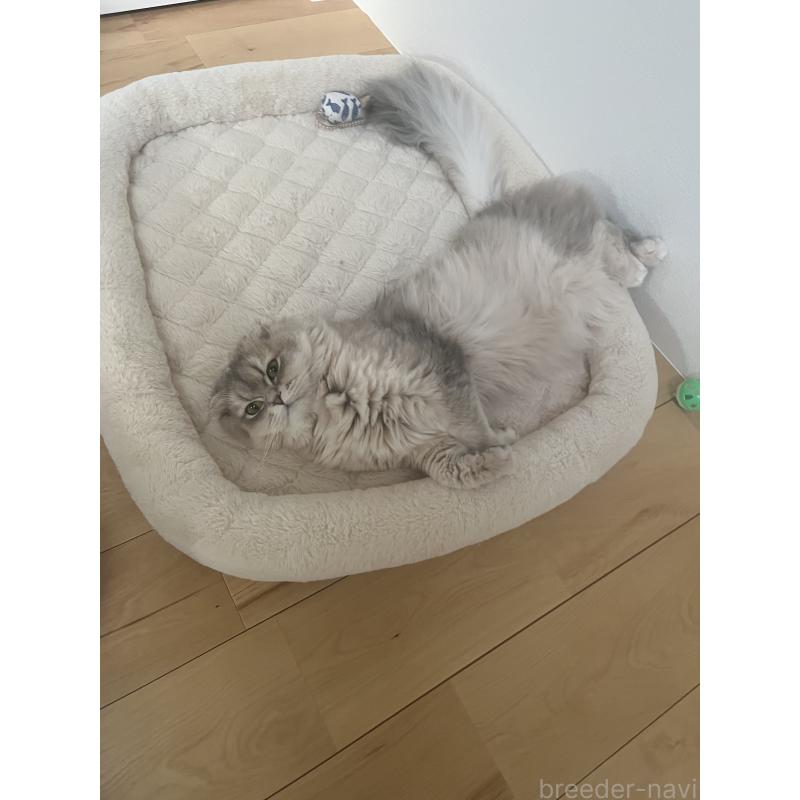 うるちゃん1枚目