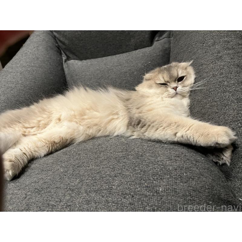 うるちゃん1枚目