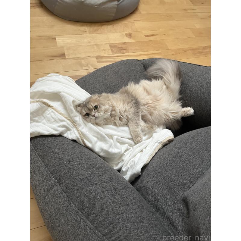 うるちゃん1枚目