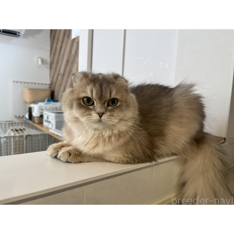 うるちゃん1枚目