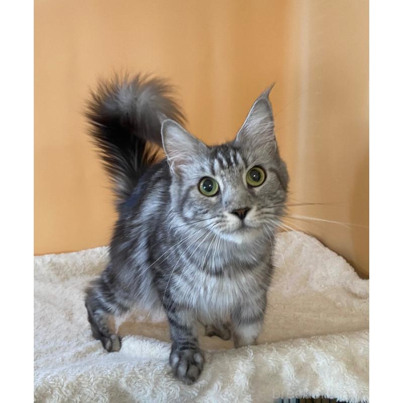 MEGUちゃん1枚目