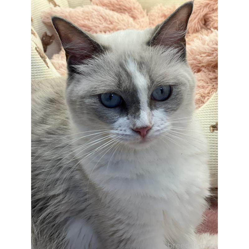 タラちゃんちゃん1枚目