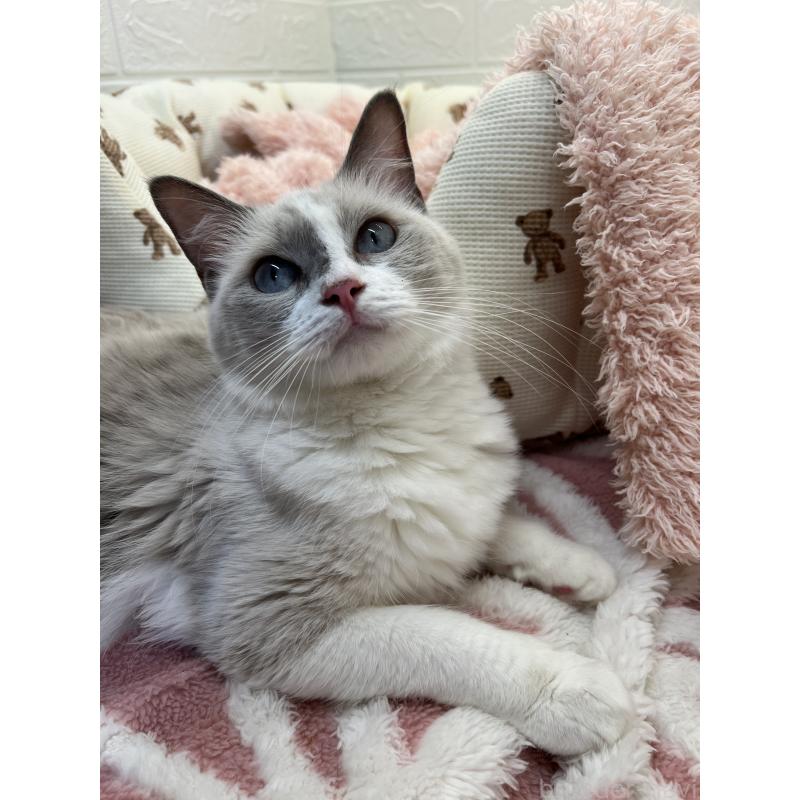 タラちゃんちゃん1枚目