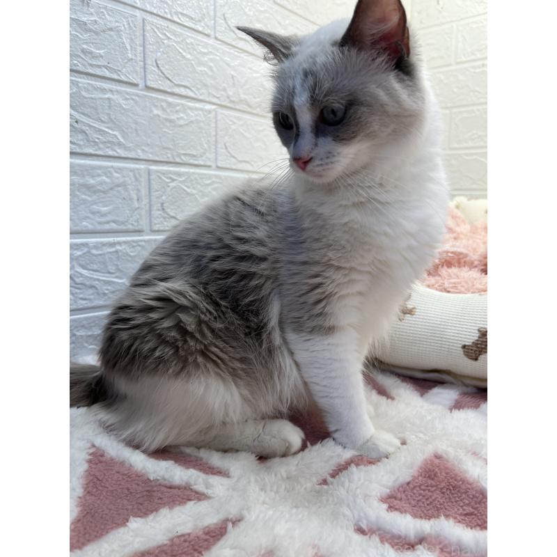 タラちゃんちゃん1枚目