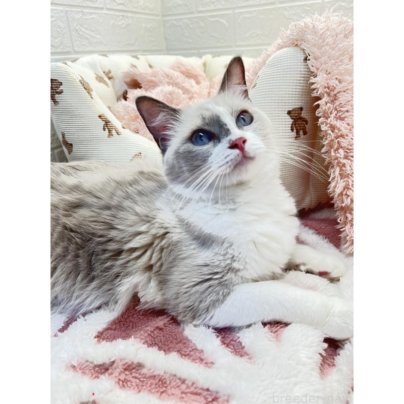 タラちゃんちゃん1枚目