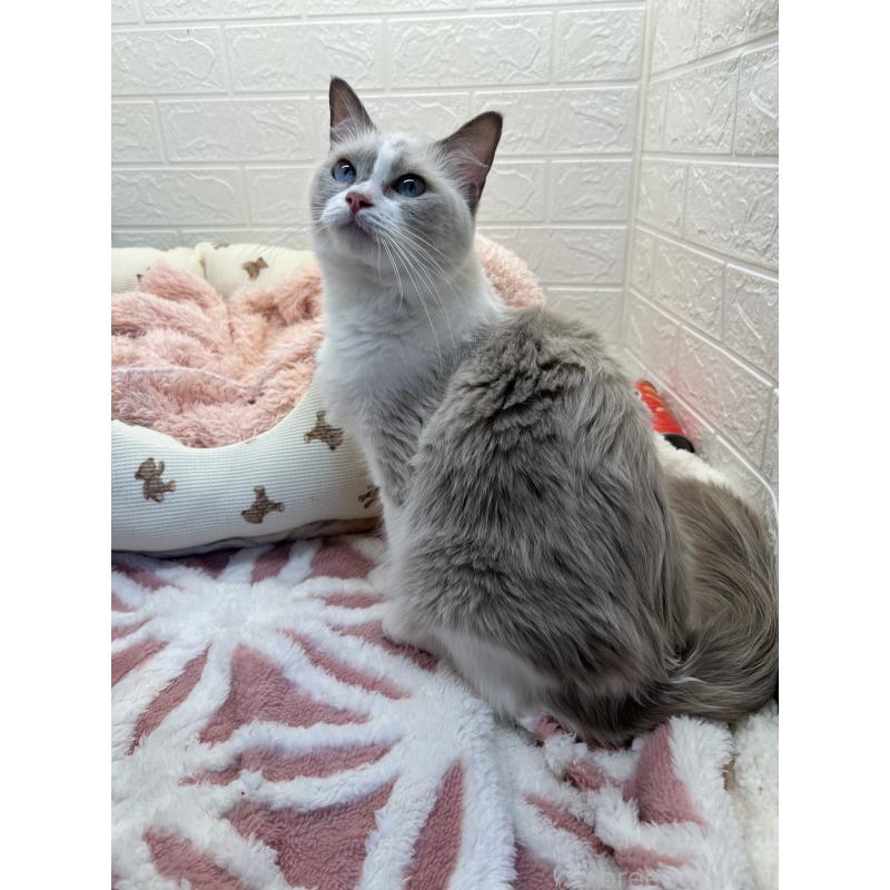 タラちゃんちゃん1枚目