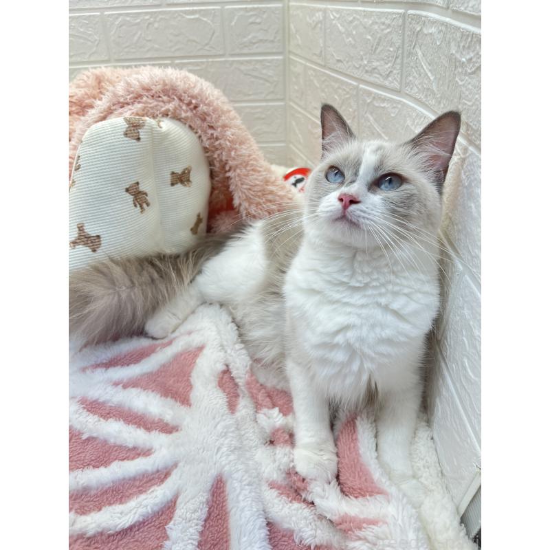 タラちゃんちゃん1枚目