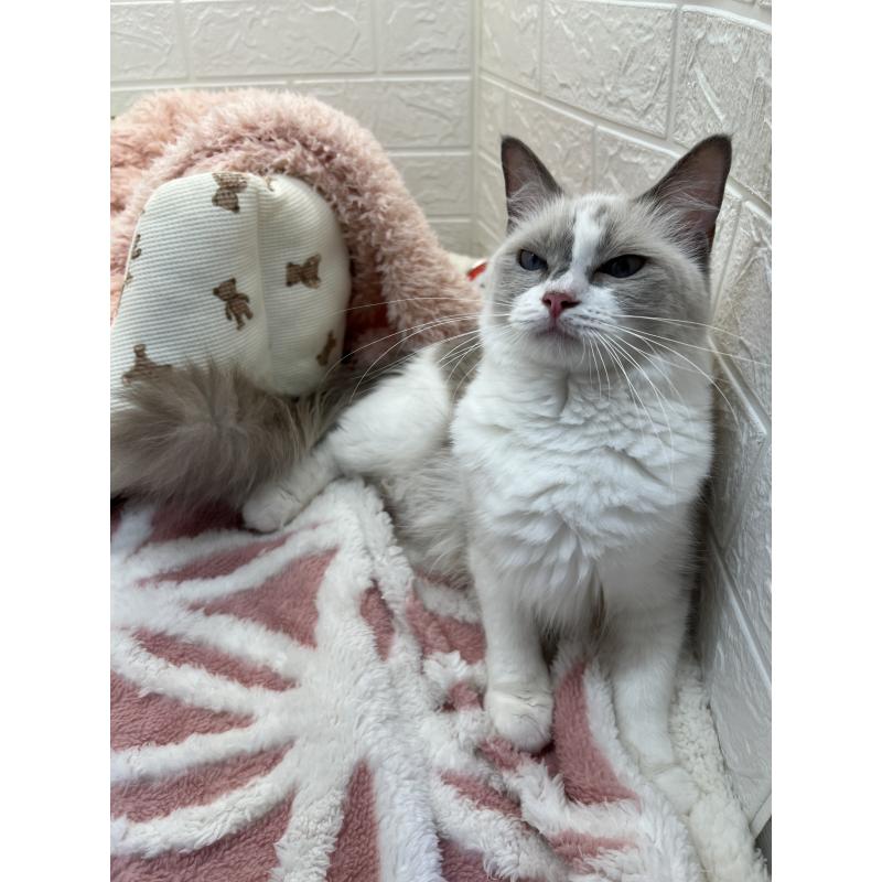 タラちゃんちゃん1枚目