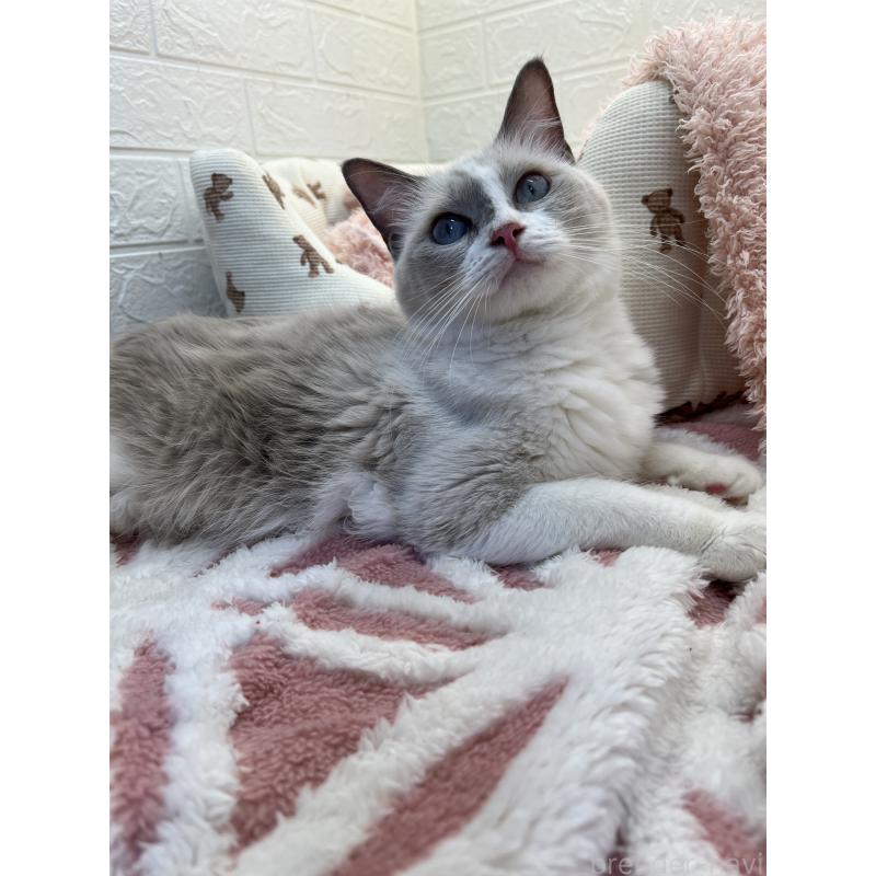 タラちゃんちゃん1枚目