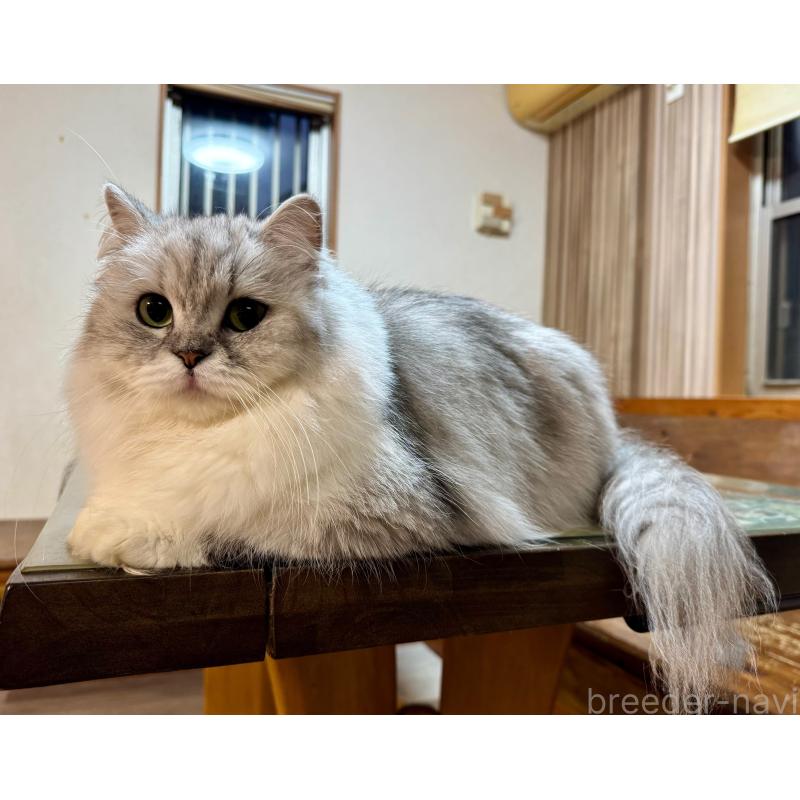 ムーンちゃん1枚目