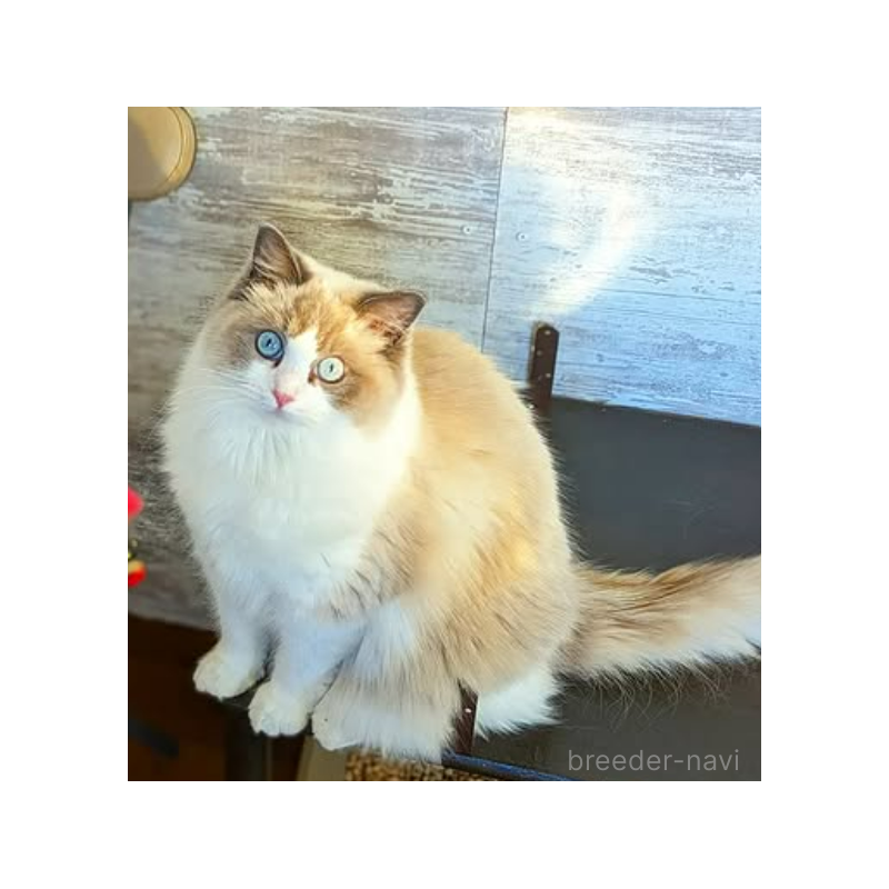 ミルクちゃん1枚目