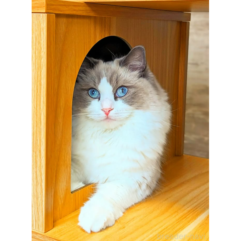 ミルクちゃん1枚目