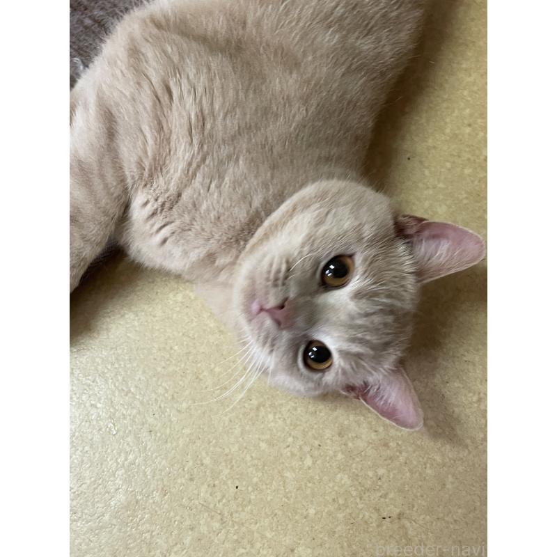 翔くんくん1枚目