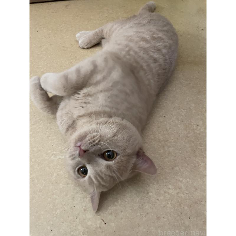 翔くんくん1枚目