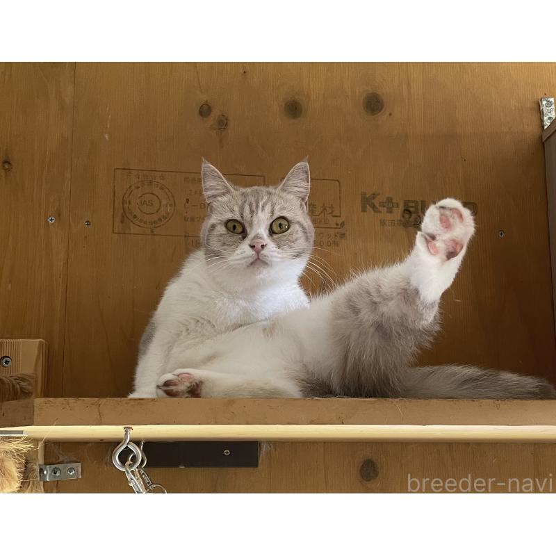 ライラちゃん1枚目