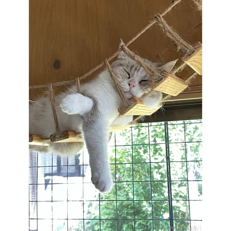 ライラちゃん1枚目