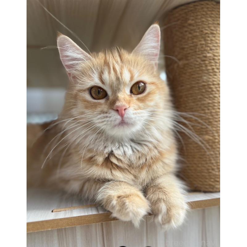 ナツ、ちゃん1枚目