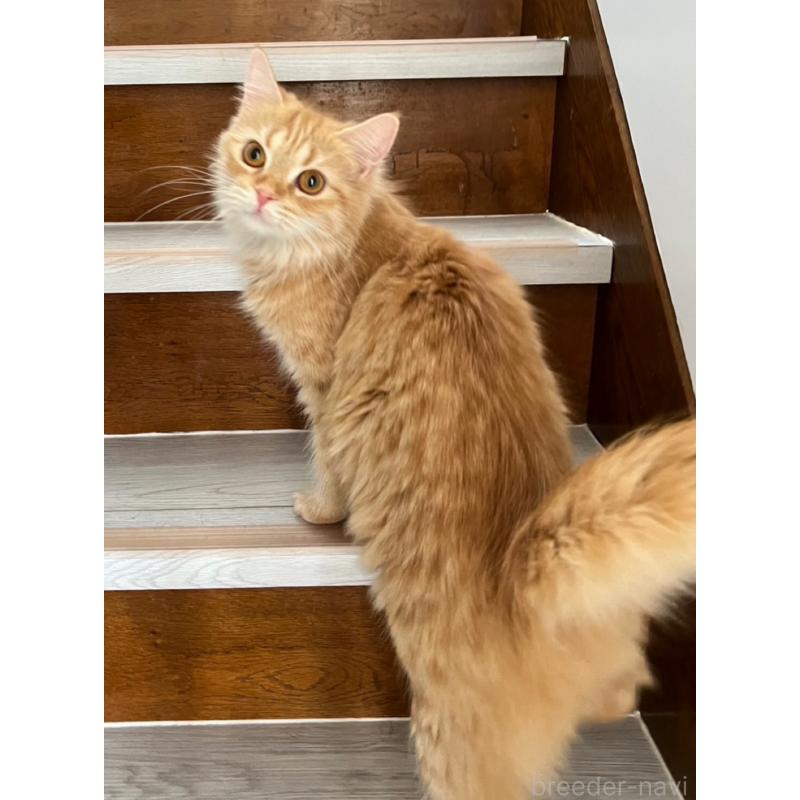 ナツ、ちゃん1枚目