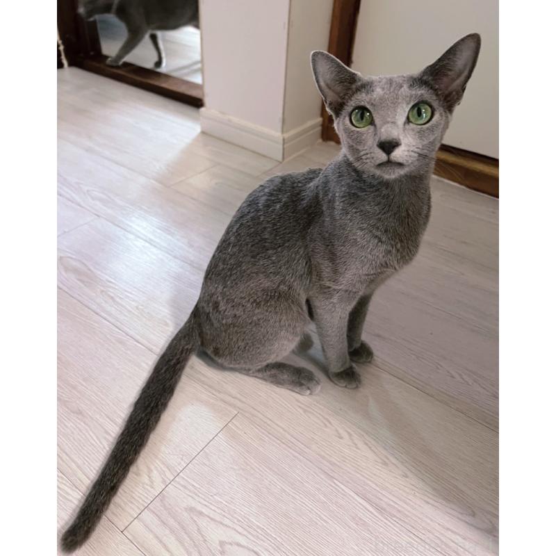 ビビちゃん1枚目