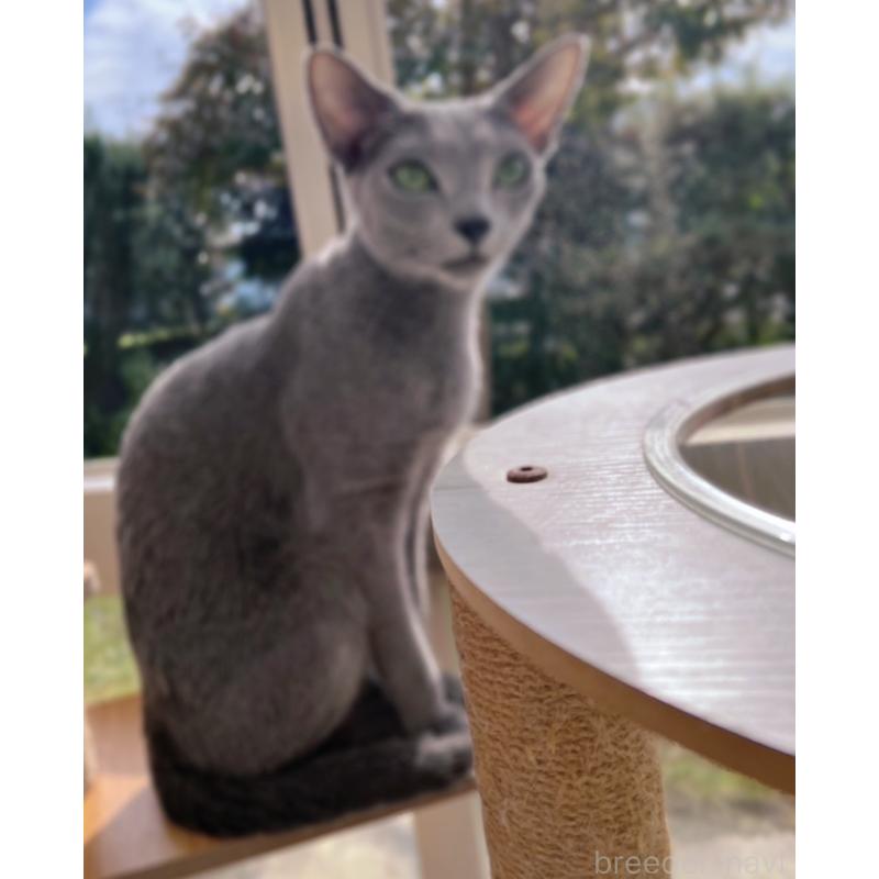 ビビちゃん1枚目