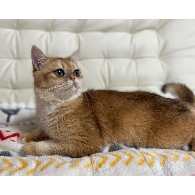 トトロくん1枚目