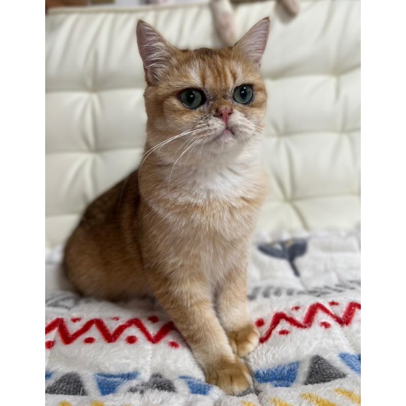 トトロくん1枚目