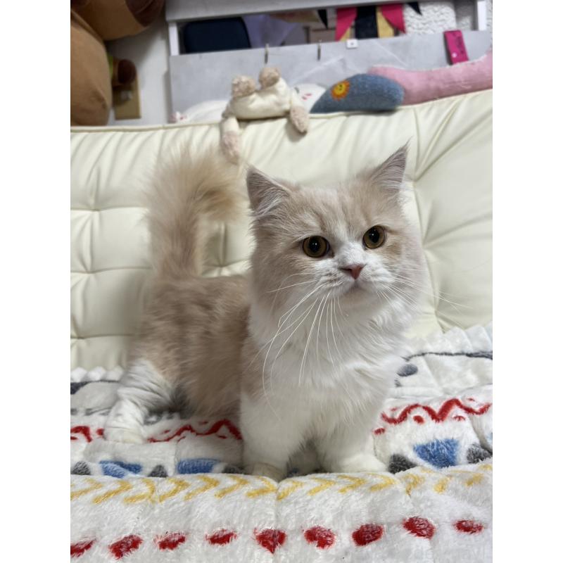 ミッキーくん1枚目