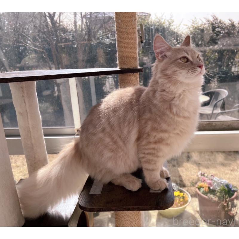 ジークくん1枚目