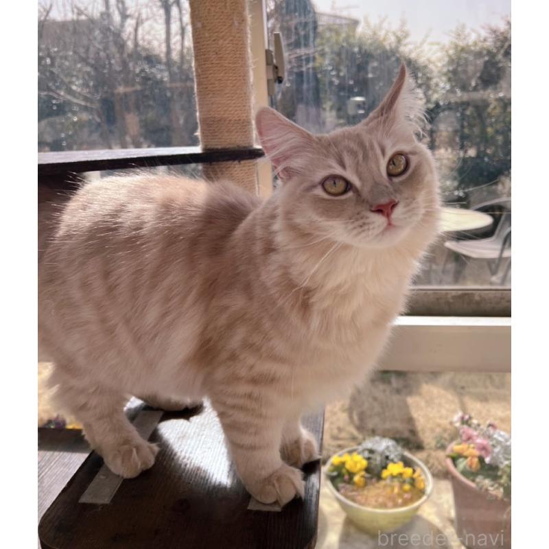 ジークくん1枚目