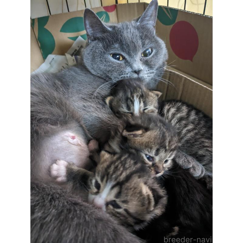 うめこちゃん1枚目