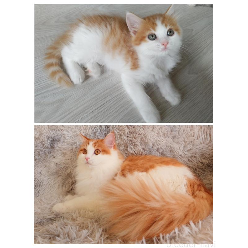 朝陽ちゃん1枚目