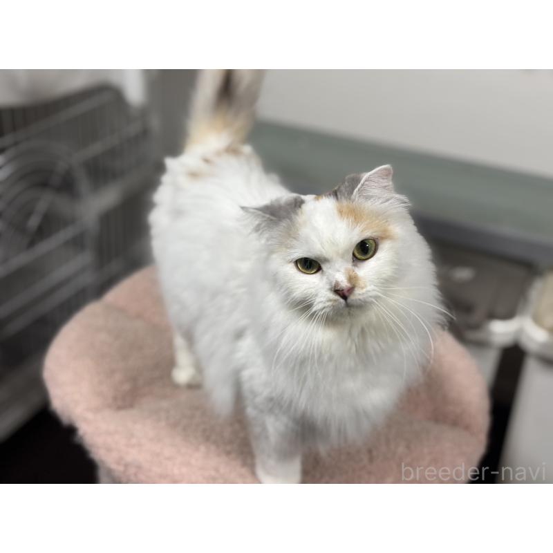 マロちゃん1枚目