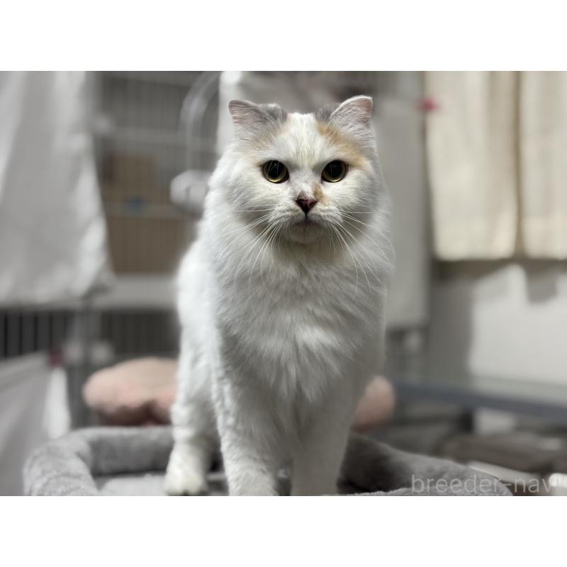 マロちゃん1枚目