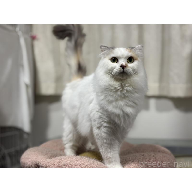 マロちゃん1枚目