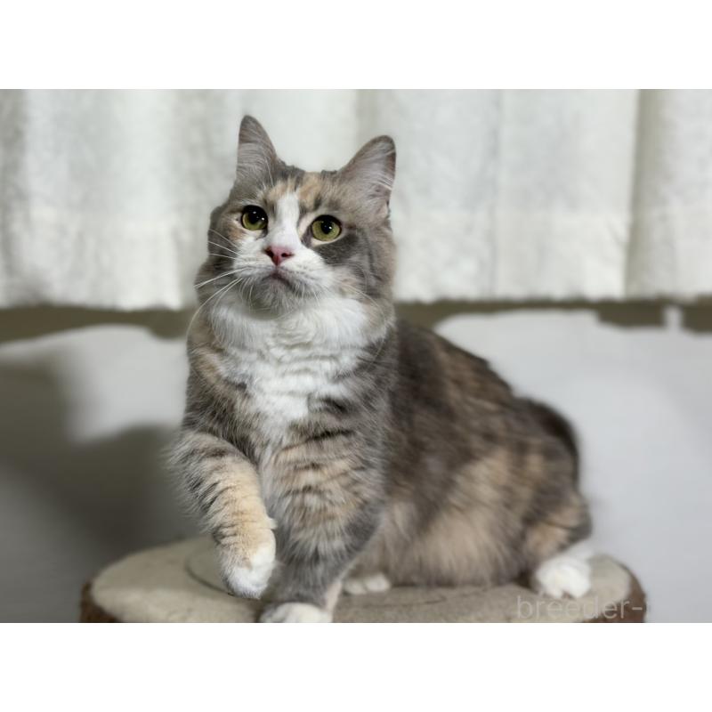 ウーノちゃん1枚目