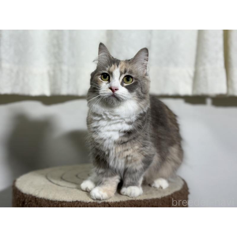 ウーノちゃん1枚目