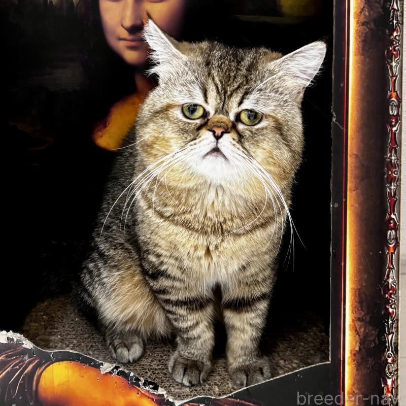 マイケルくん1枚目