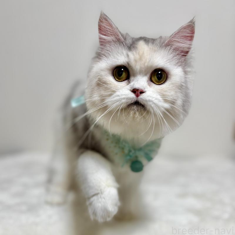 イクラちゃん1枚目