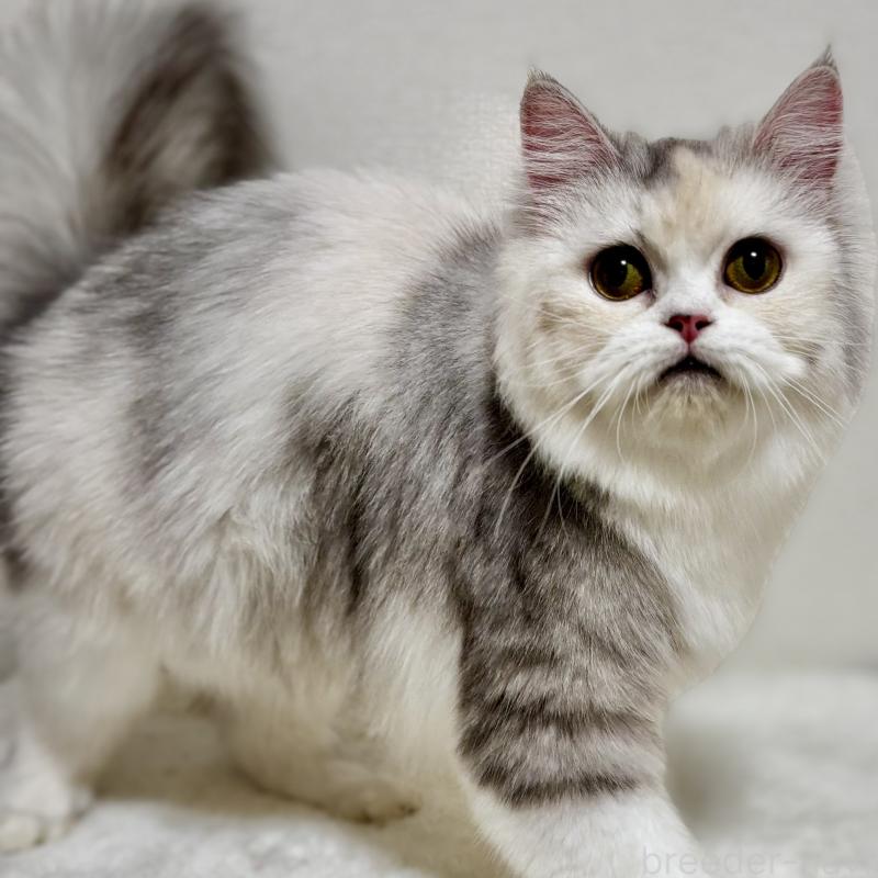 イクラちゃん1枚目