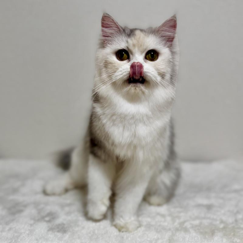 イクラちゃん1枚目