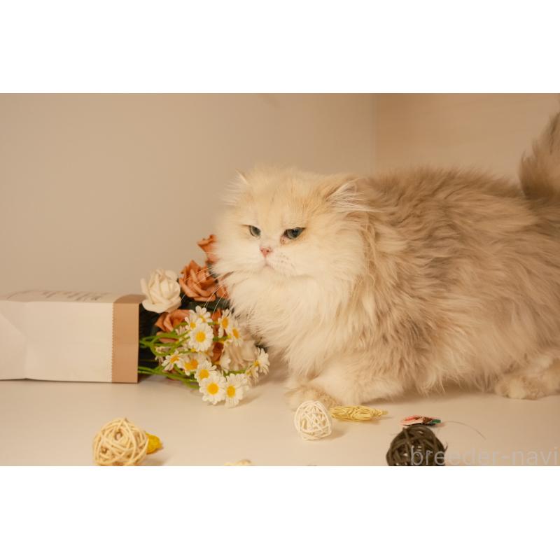 ミルクくん1枚目