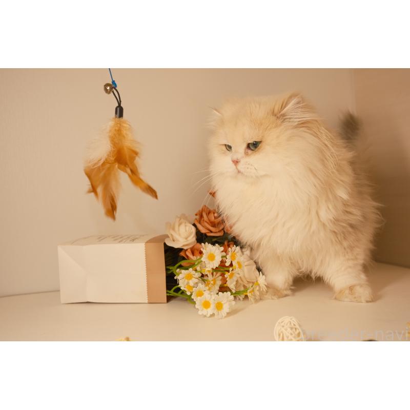 ミルクくん1枚目